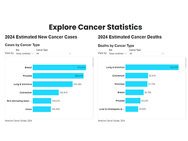 Explore Cancer Statistics 2024 Estimated new cancer cases and deaths