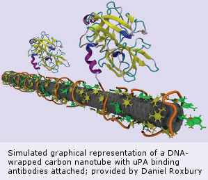 DNA-wrapped carbon nanotube