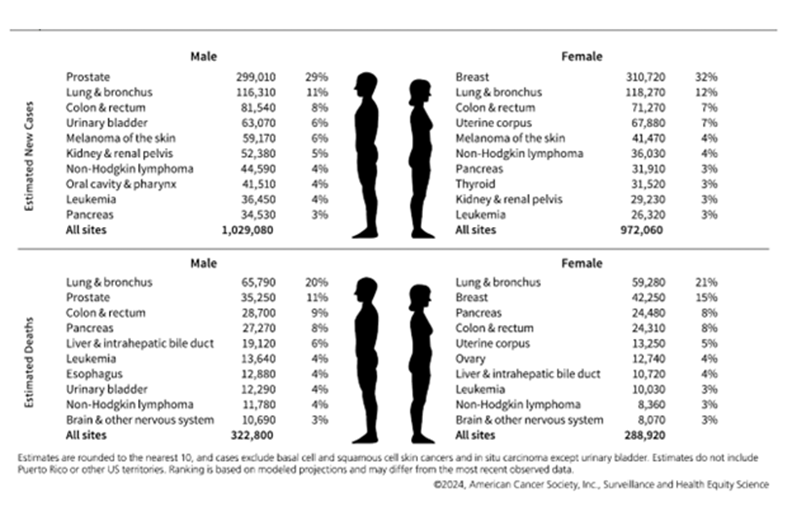 Estimated cancer cases and deaths for men and women for 2024