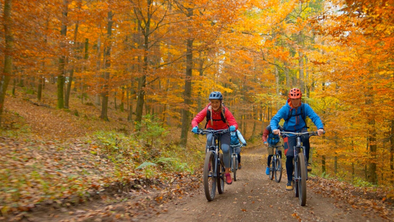 Four people ride bikes on wooded trail with fall colors