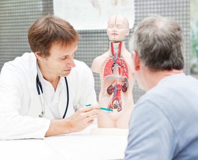 doctor goes over anatomy with patient in office