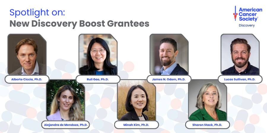 Spotlight on New Discovery Boost Grantees