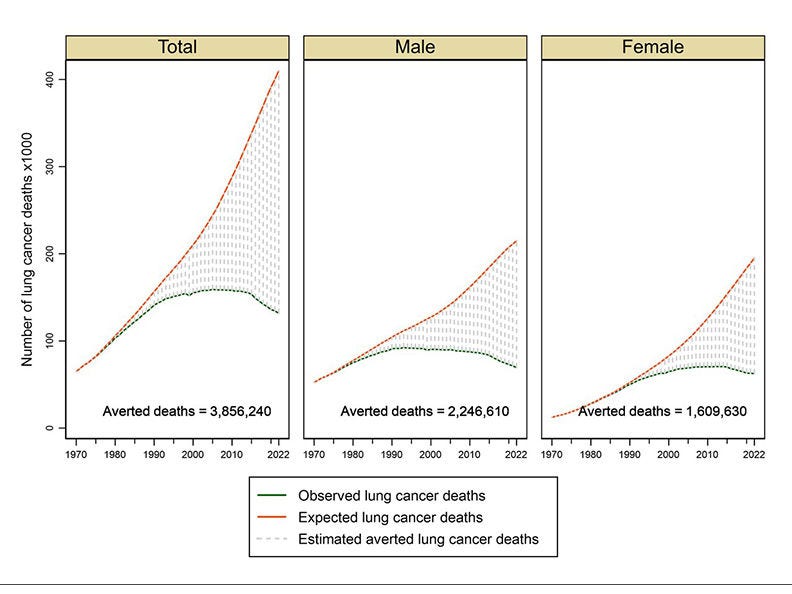 These graphs demonstrate how the intangible concept of “averted deaths” is calculated. The red lines show the expected number of deaths from lung cancer every year, based on historical trends in lung cancer death rates. The blue lines show the actual number of deaths every year from lung cancer. The blue death curve declines (due to the decrease in cigarette smoking in the United States that started in the 1990s), increasing the difference between expected deaths and the actual deaths. That space between the two lines (shown as vertical slashed lines) represents the number of expected deaths that didn’t occur, or the deaths that were “averted” each year.