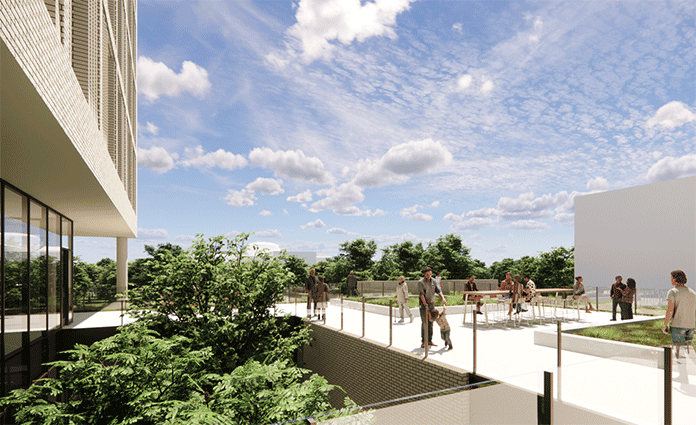 Rooftop terrace with people, greenery, and open sky view.