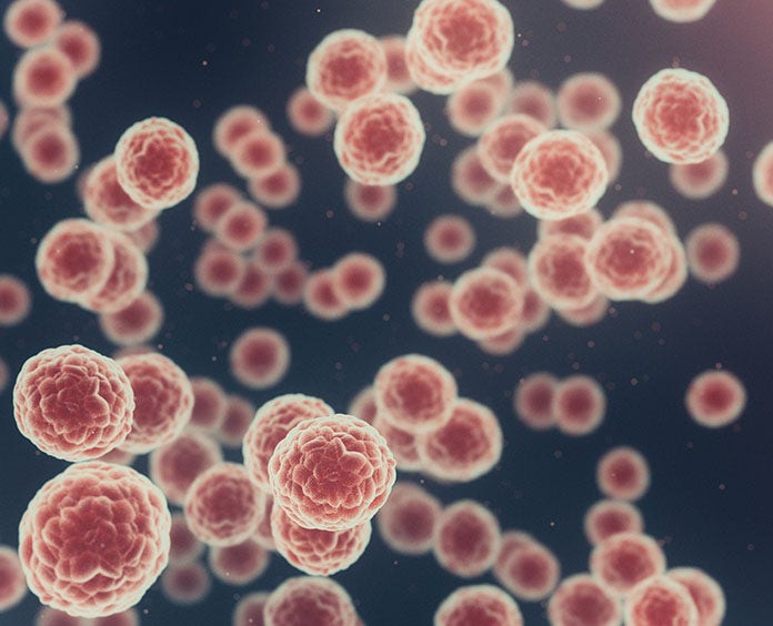 Understanding Cancer Image
