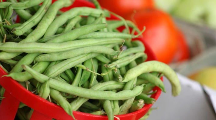A closeup shows freshly picked green beans in a red basket.