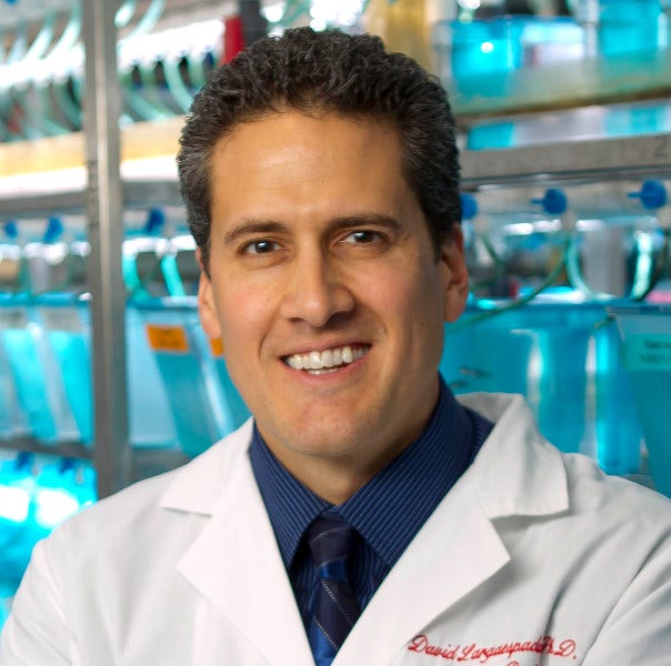 David Largaespada, PhD in lab, University of Minnesota - Twin Cities