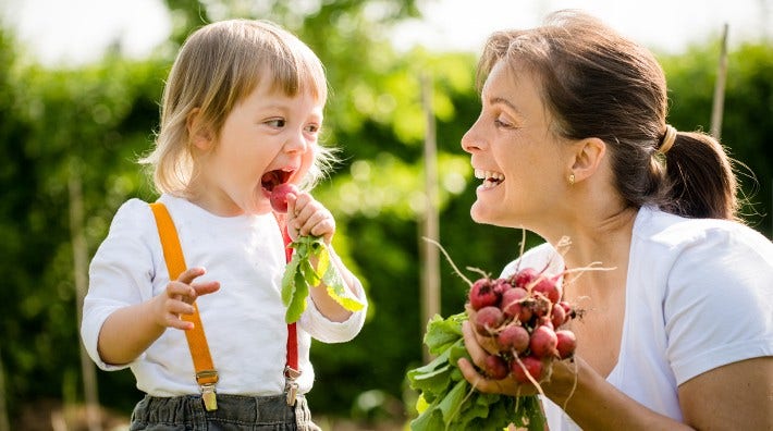 little girl eats a freshly picked radish as mother smiles at her