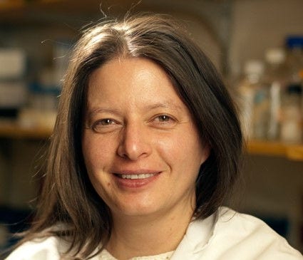 woman with brown hair pulled forward on left shoulder,  blurred lab shelf in back