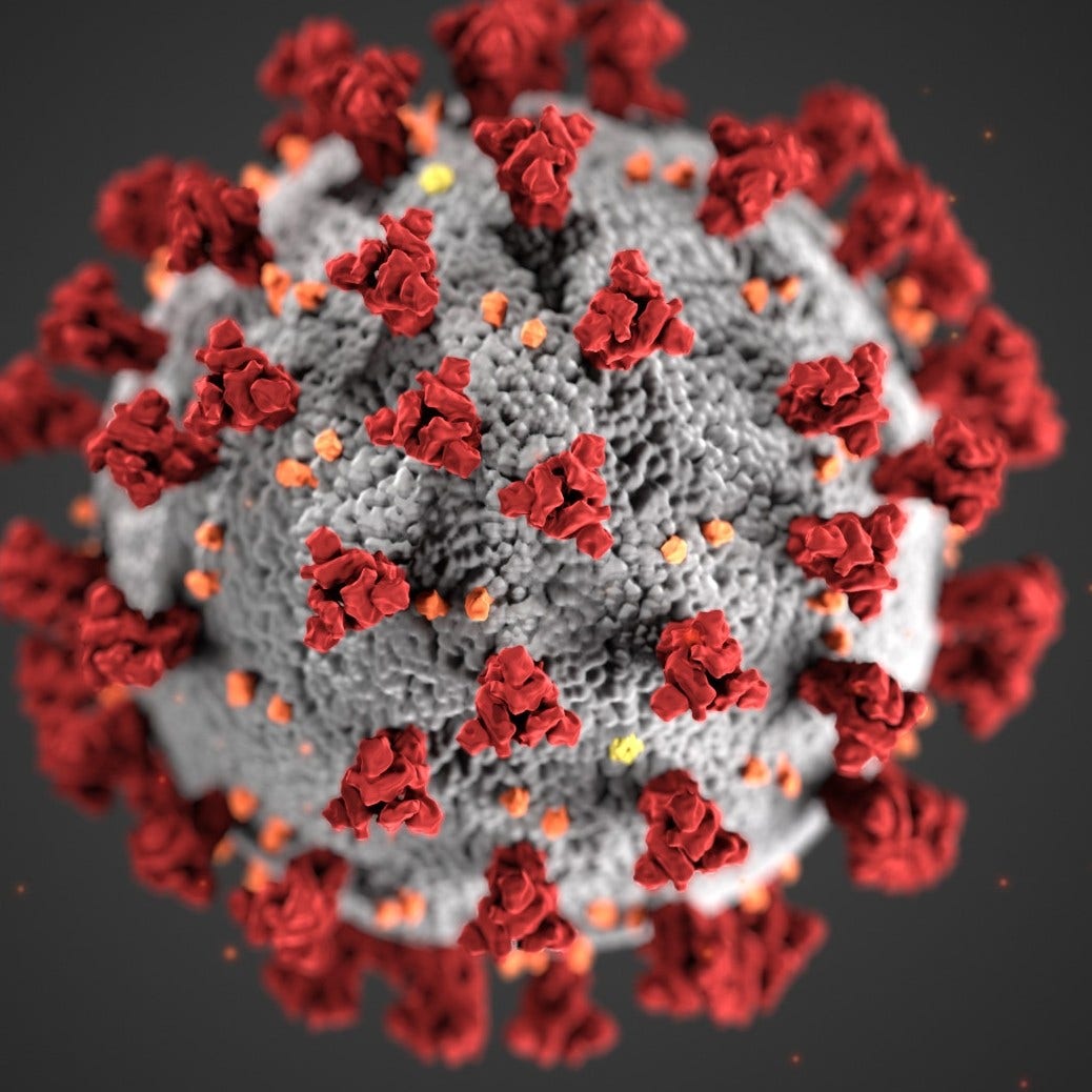 illustration showing a microscopic view of the coronavirus