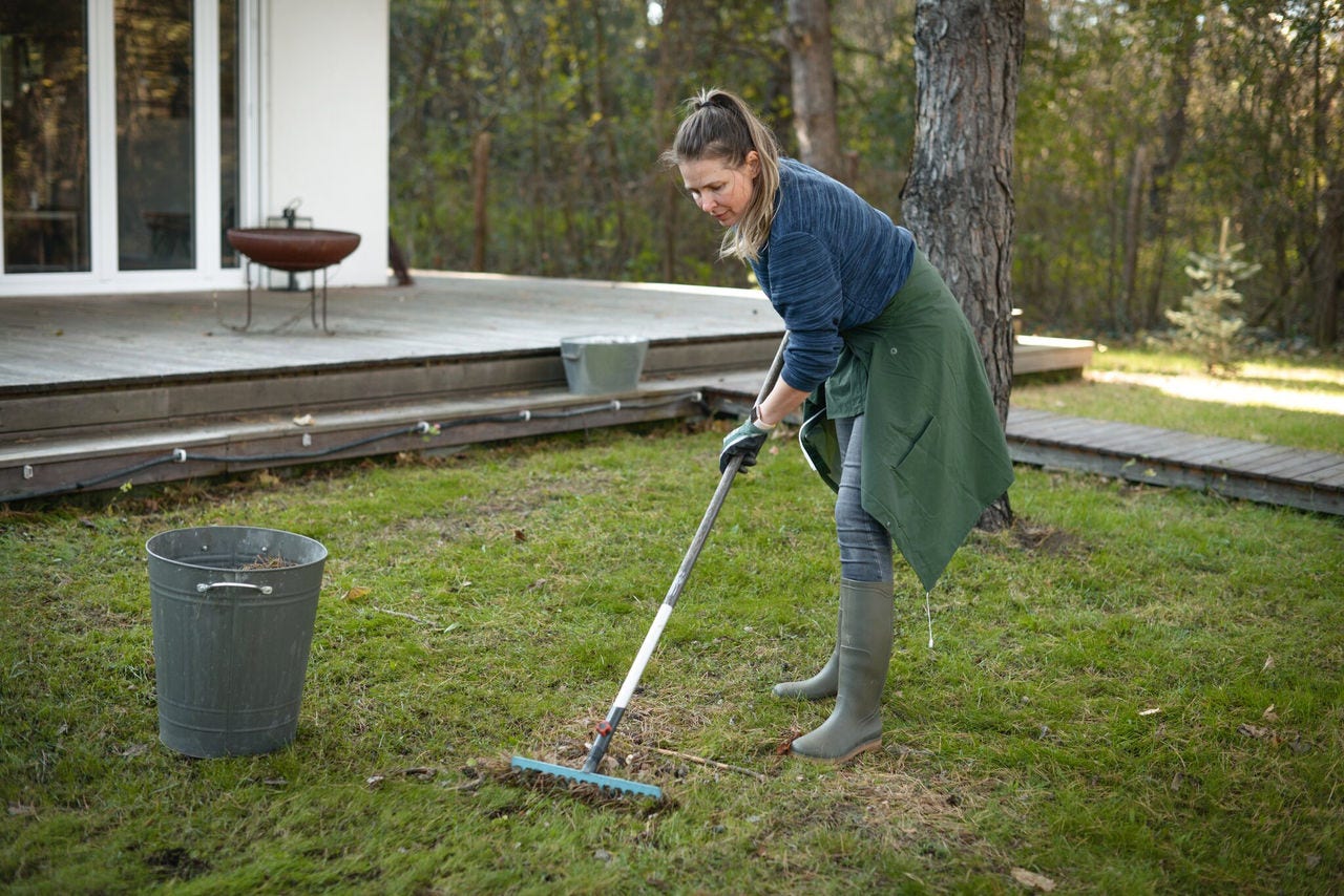 A woman rakes leaves in a backyard