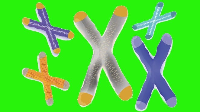 Animated Telomeres on Green Background