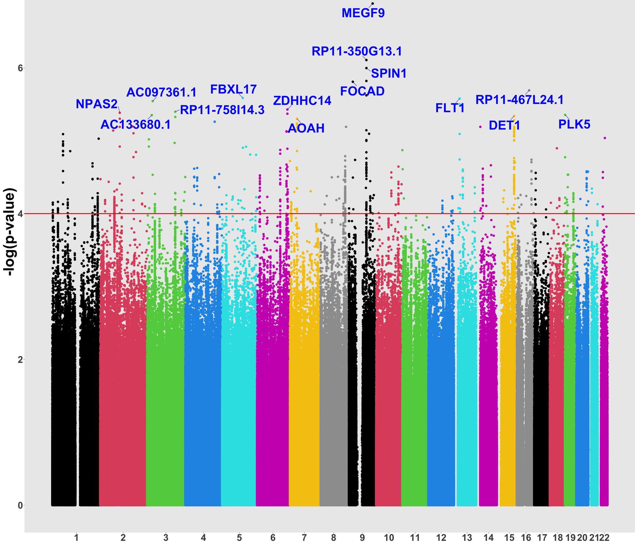 scatter blot graph