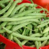 A closeup shows freshly picked green beans in a red basket.