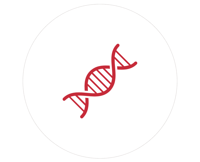Red graphic of a twist of a DNA strand