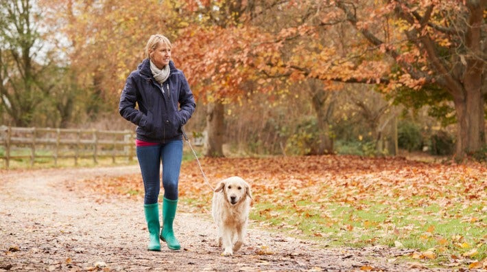 woman on autumn walk with labrador