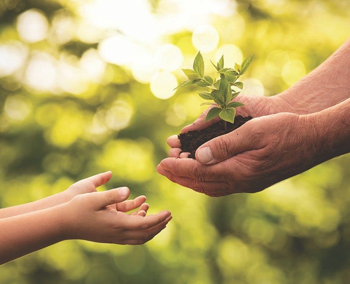 Close up of senior hands giving small plant to a child over defocused green background