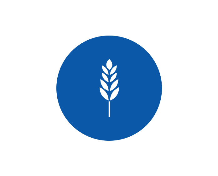 wheat icon