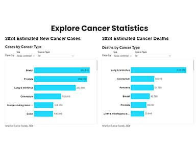Cancer Facts Figures 2024 American Cancer Society