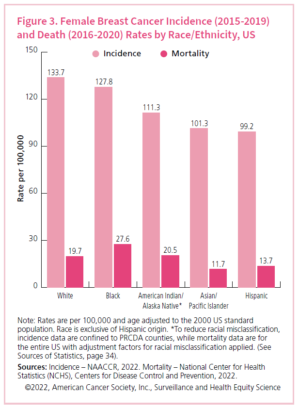 Graphic y axis incidence rate per 100,000; x axis ethnicities white, black, AIAN, API, and Hispanic light pink bars show incidence and dark pink show death rate