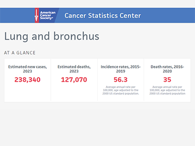 blue bar with Cancer Statistics Center Lung and brochus  estimated new cases, estimated deaths, incidence rates, death rates