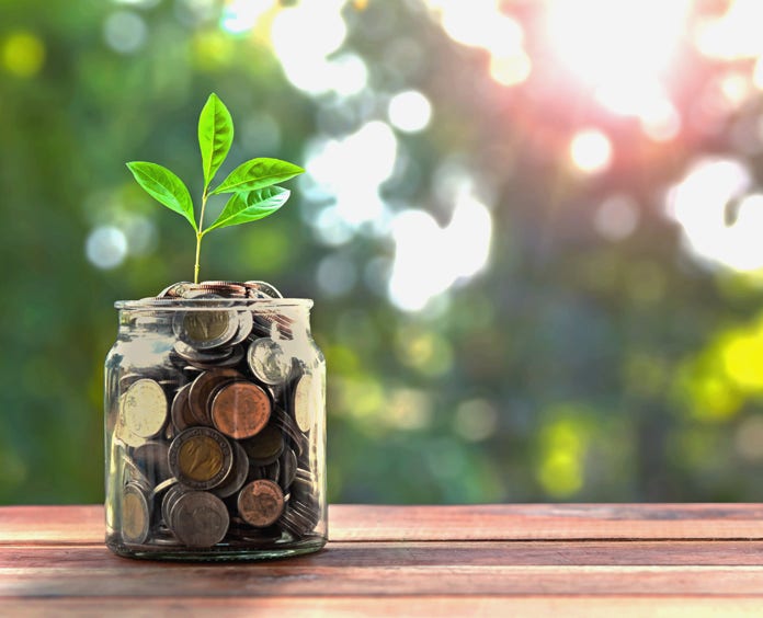 concept money and small tree in jar and sunshine