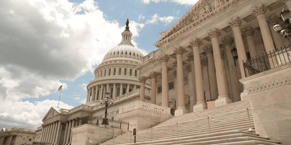 United States Capital Building Steps