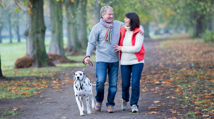 A mature couple walk through a woodland area smiling and laughing while they walk their dalmatian dog 