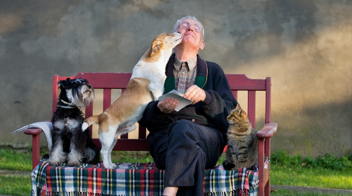senior man sitting on a park bench with his two dogs and cat