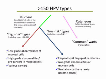 Hpv And Hpv Testing