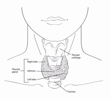 can an ultrasound miss thyroid cancer