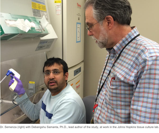 Dr. Sememza and Debangshu Samanta in Johns Hopkins lab