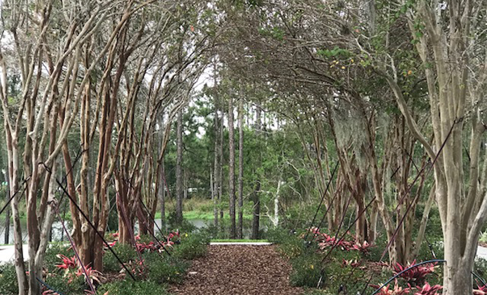 Jacksonville, FL Hope Lodge Healing Garden
