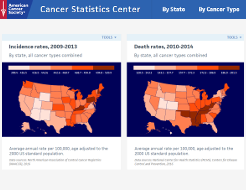 Cancer Statistics Center screenshot