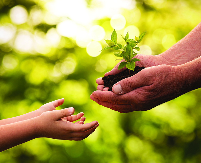 Close up of senior hands giving small plant to a child over defocused green background