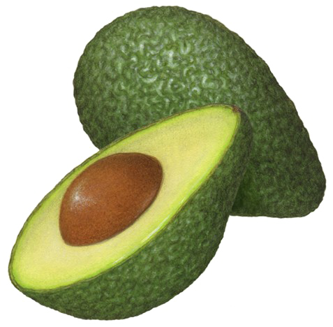 Whole avocado in background, halved avocado with seed exposed in front
