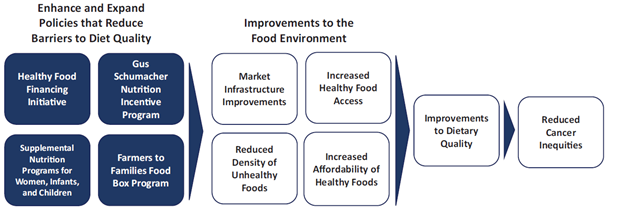 flow chart that shows how enhancing and expanding policies that reduce barriers to diet quality, such as these 4 programs (Healthy Food Financing Initiative, Gus Schumacher Nutrition Incentive Program, Supplemental Nutrition Programs for Women, Infants, and Children, and Farmers to Families Food Box Program) can lead to improvements in the food environment, to dietary quality, and reduce cancer inequities