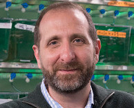 white man with brown beard, receding hairline in front of green fish tanks