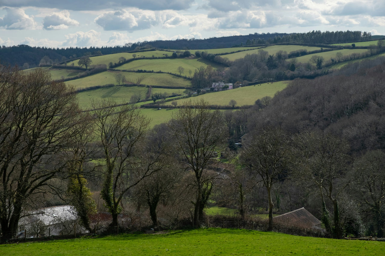 Country Scene Photo by Veronica White Unsplash