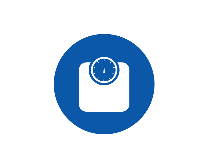 scale icon