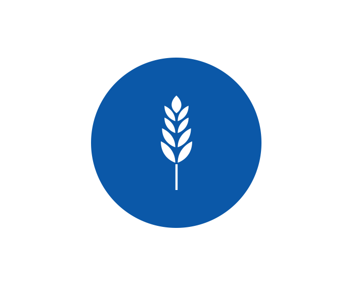 wheat icon