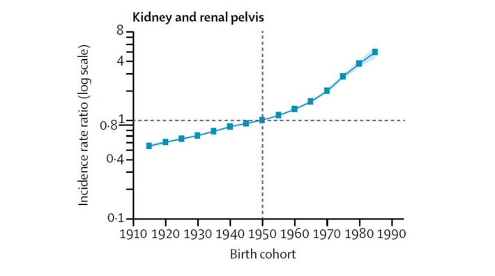 graph showing the incidence rate ratio for kidney and renal pelvis cancer
